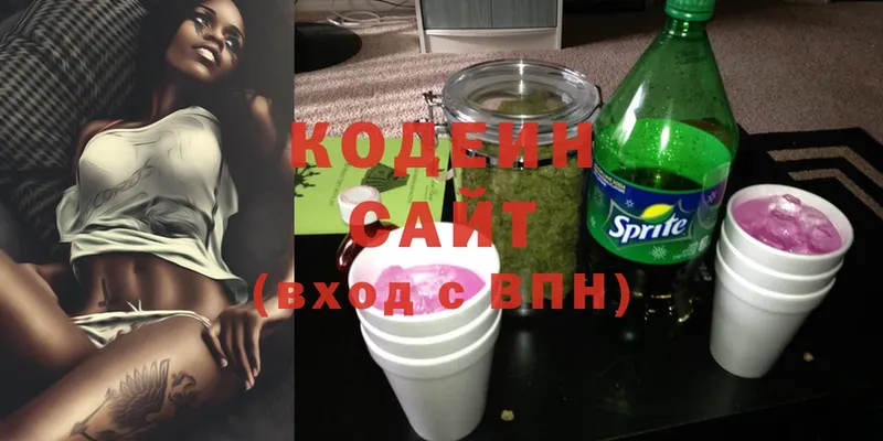 Кодеиновый сироп Lean Purple Drank  Инсар 