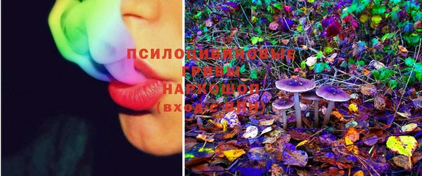 MDMA Premium VHQ Михайловка