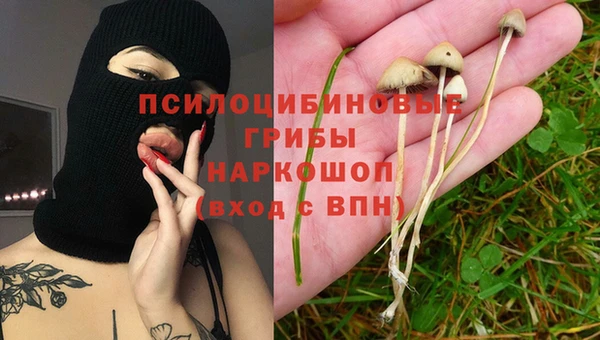 ешки Михайлов
