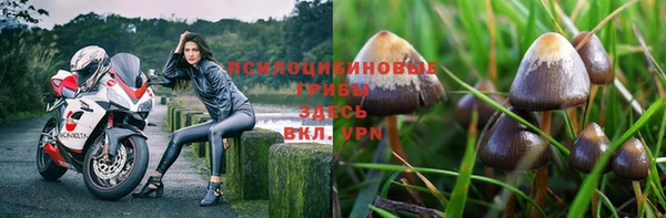 СК Михайловск