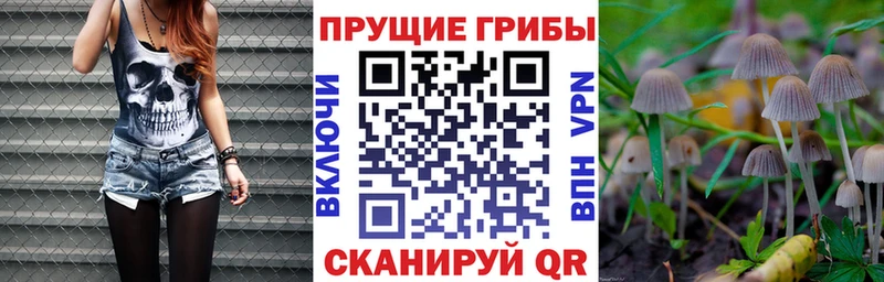 Псилоцибиновые грибы Cubensis  мега ONION  Инсар 